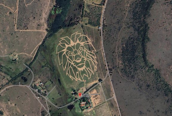 Impression Lion Head